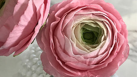 How to Make a Ranunculus